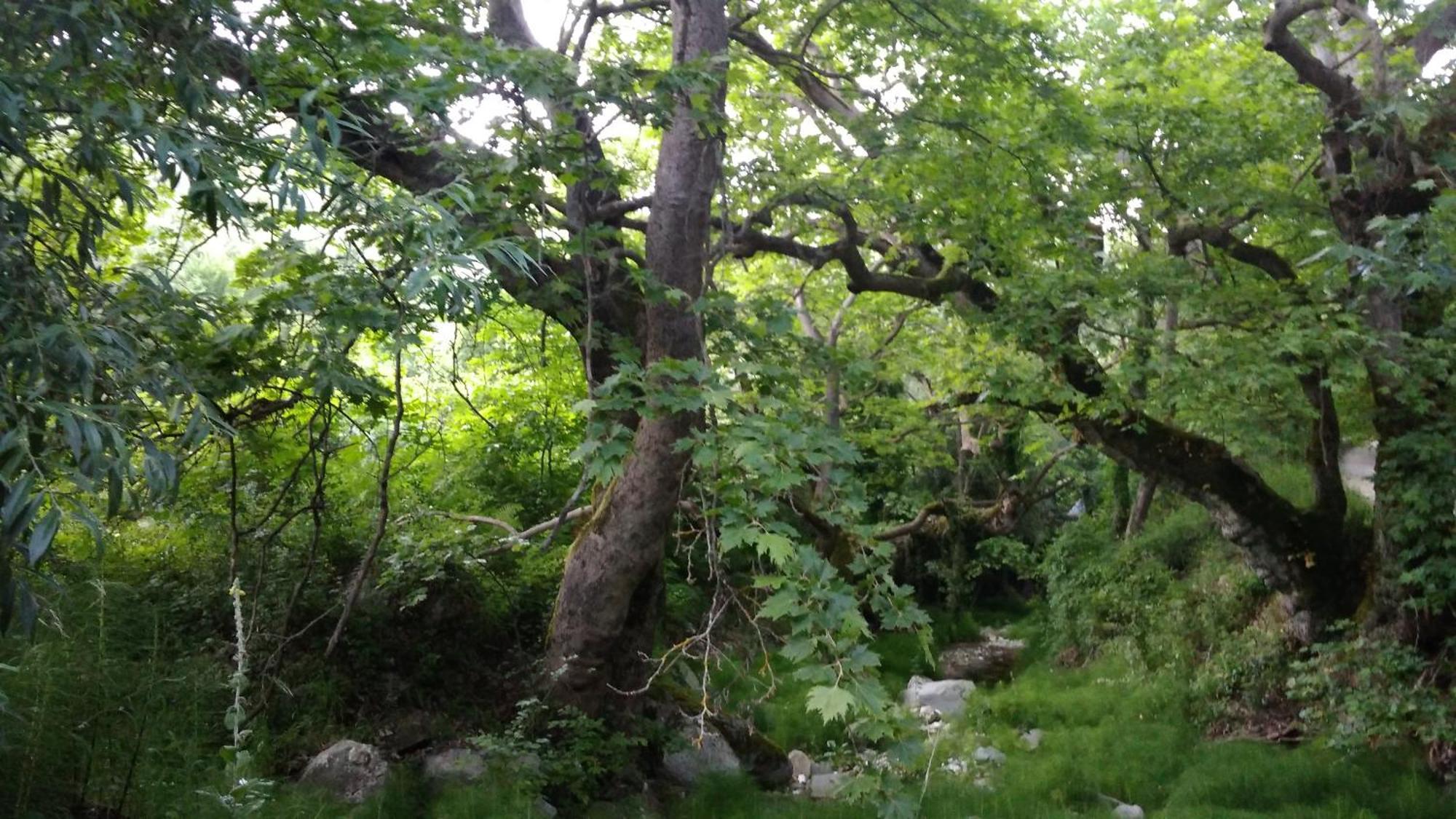The Stonehouse Βίλα Κεραμίδι Εξωτερικό φωτογραφία